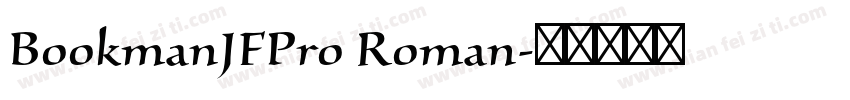 BookmanJFPro Roman字体转换